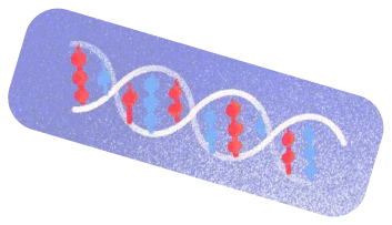 DNA helix illustration